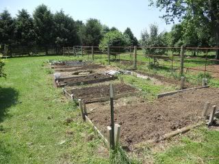 RaisedbedgardenLateMay2011.jpg