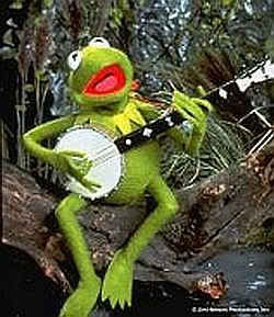 Kermit the Frog with a Banjo Pictures, Images and Photos
