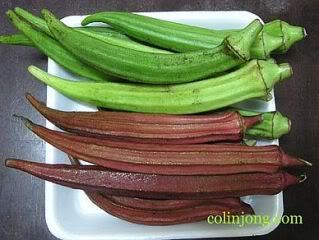 RedandGreenOkra.jpg