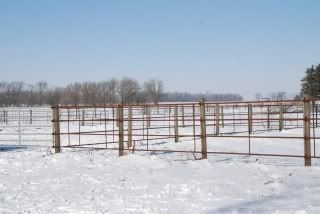 Winter2010007.jpg