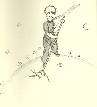 Can You Imagine Enjoying Every Day of Your Life? The Little Prince Series