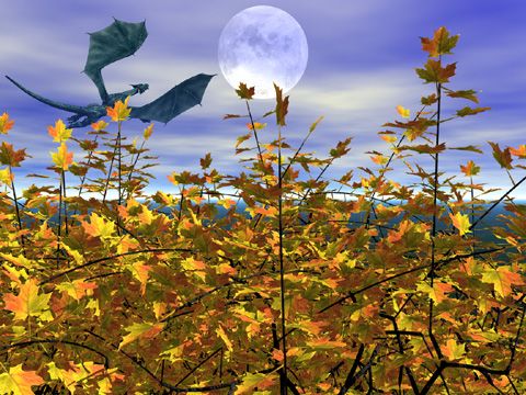 Moon Over Autumn Leaves