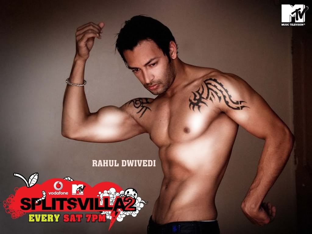 Splitsvilla 2 Rahul