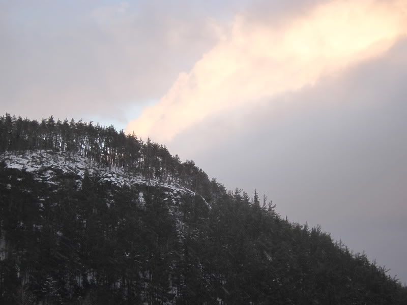 Whiteface