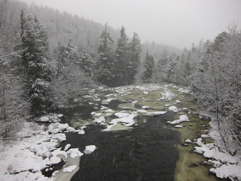 Whiteface