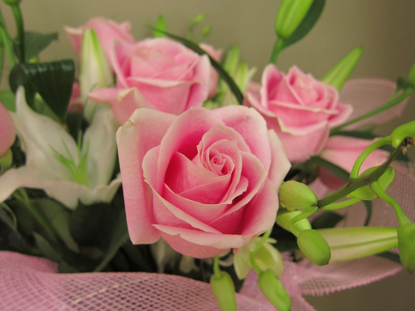 Birthday Roses