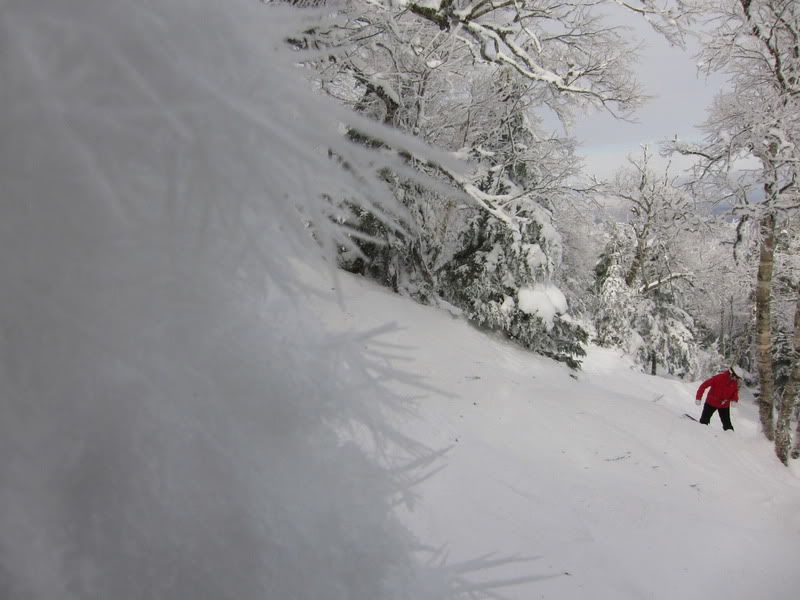 Glades at Jay