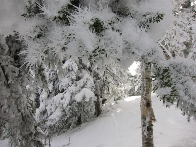 Ice Formations