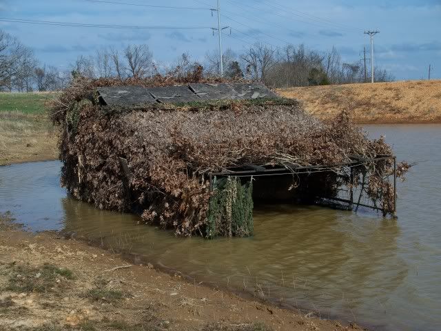 Duck Hunting Blinds