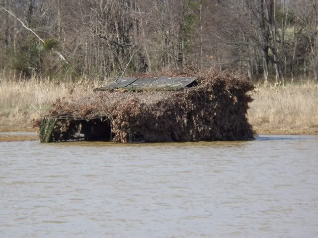 Floating Duck Blind Plans