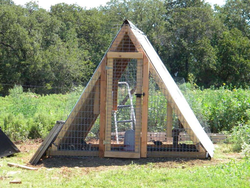 Post your guinea fowl pens