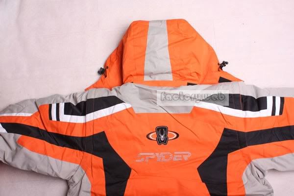 SPYDERM13.jpg picture by museumimage