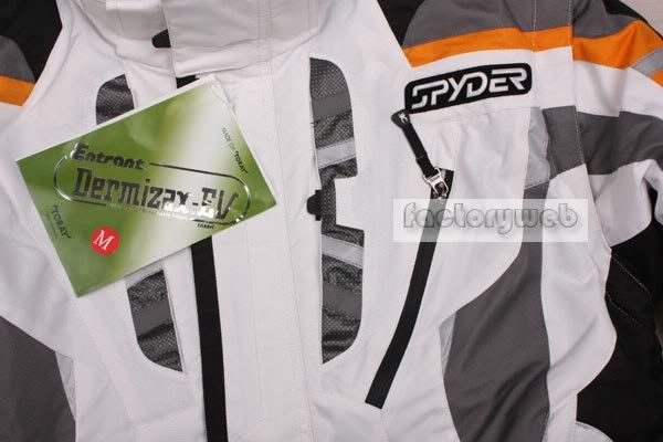 SPYDER12.jpg picture by museumimage