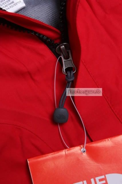 TNFMY12.jpg picture by museumimage
