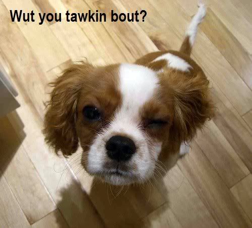 untitled.jpg What you talking about. image by Edderz1989