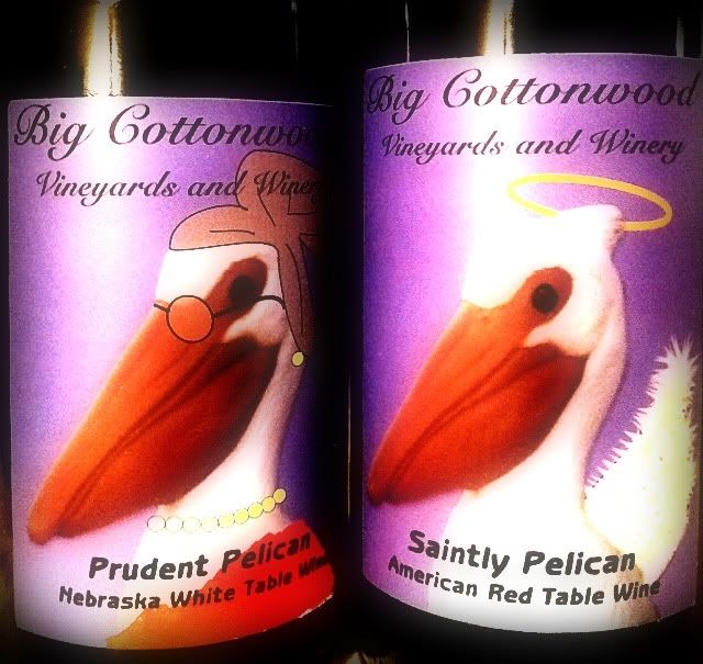 Big Cottonwood Pelicans