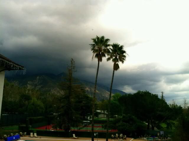 a gray day in Altadena