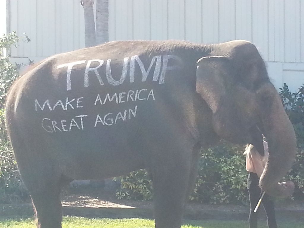  photo Trump Sarasota_zpsn0pvomjn.jpg