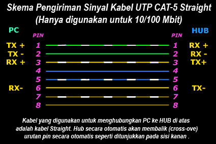 cable-utp-straight4