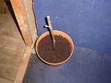 th_DSC02988.jpg