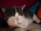th_DSC02846.jpg