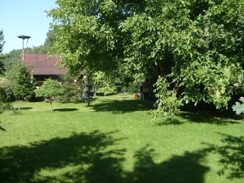 Ogród2