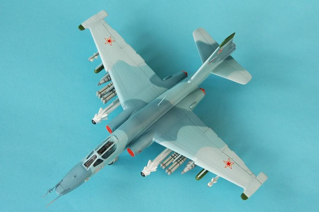su3919.jpg