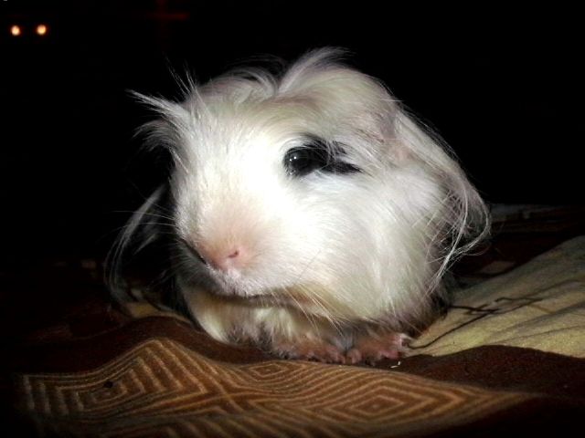 http://i611.photobucket.com/albums/tt200/biancadumi/014-7.jpg