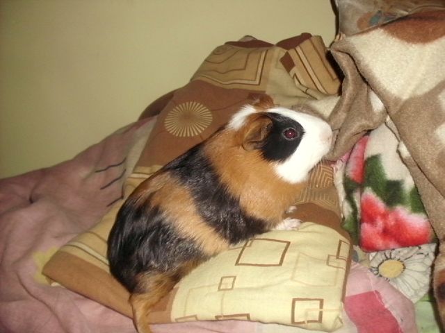 http://i611.photobucket.com/albums/tt200/biancadumi/015-6.jpg
