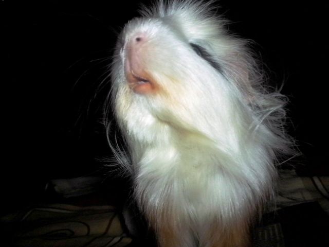 http://i611.photobucket.com/albums/tt200/biancadumi/030-2.jpg
