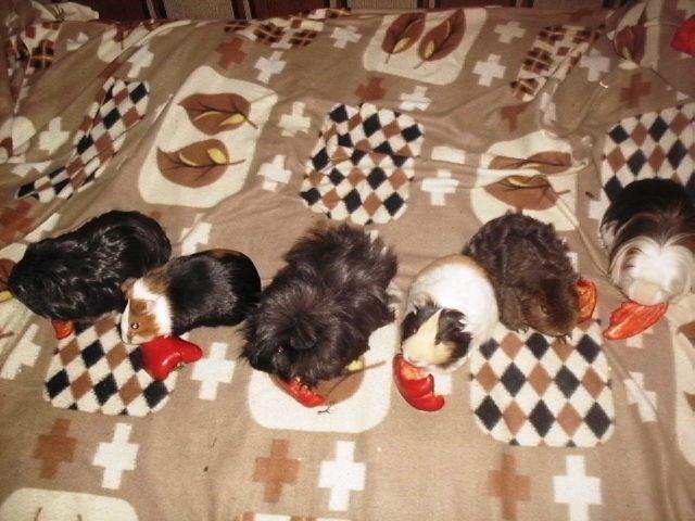 http://i611.photobucket.com/albums/tt200/biancadumi/045.jpg