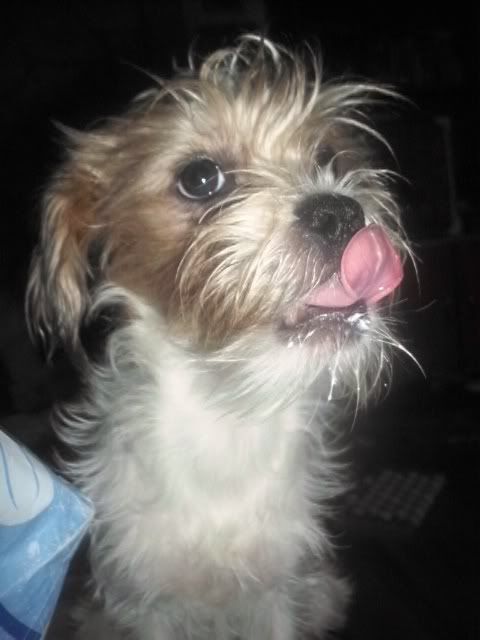 http://i611.photobucket.com/albums/tt200/biancadumi/Picture484.jpg