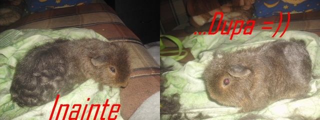 http://i611.photobucket.com/albums/tt200/biancadumi/mnmnmnmn.jpg