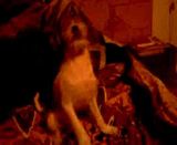 http://i611.photobucket.com/albums/tt200/biancadumi/th_Videoclip0078.jpg