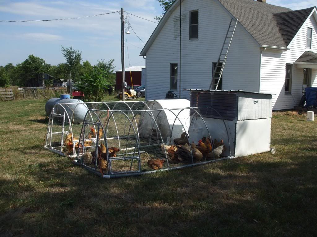 Tractor vs. coop for starting out - Poultry