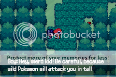 Pokémon: Glaucous Version