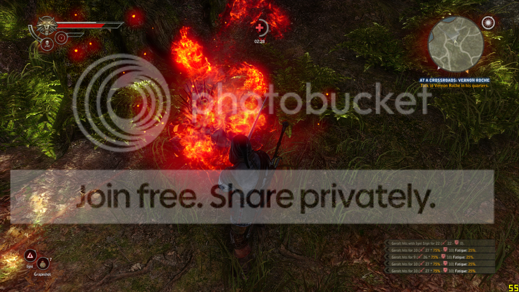 witcher22013-11-0410-33-36-70.png