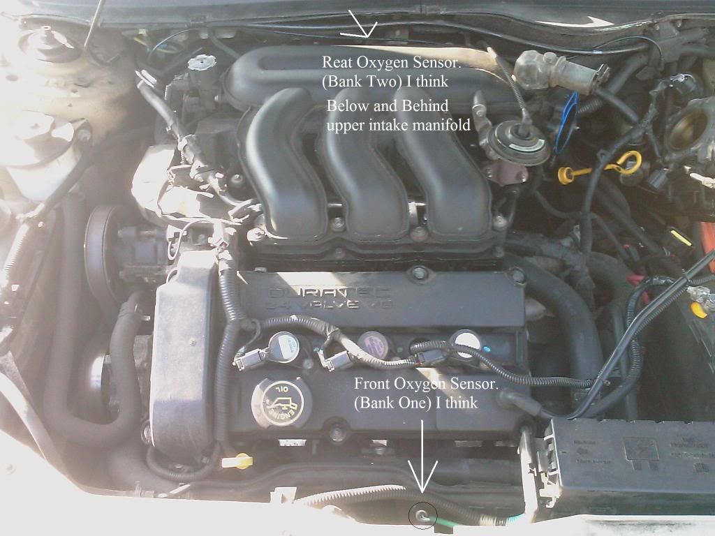 2003 Ford focus oxygen sensor replacement #10